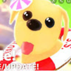 Meet your Posher, Alexa